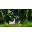 Liquid Force Peak вейкборд для парку