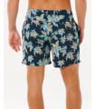 Шорти для купання Rip Curl чоловічі кольорові